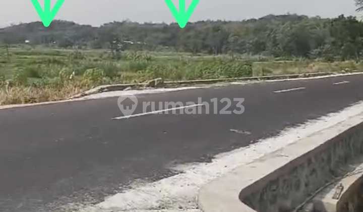 Jual Tanah Pekarangan Strategis Mangku Jln Kabupaten Sedayu Jual Tanah Pekarangan Strategis Mangku Jln Kabupaten Sedayu