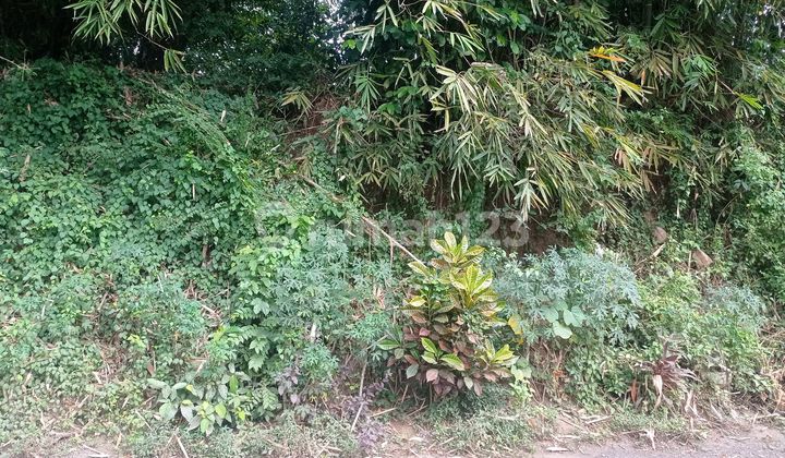 Jual Tanahpekarangan 1259m2 Dekat Cafe Labarka View Sungai Progo 