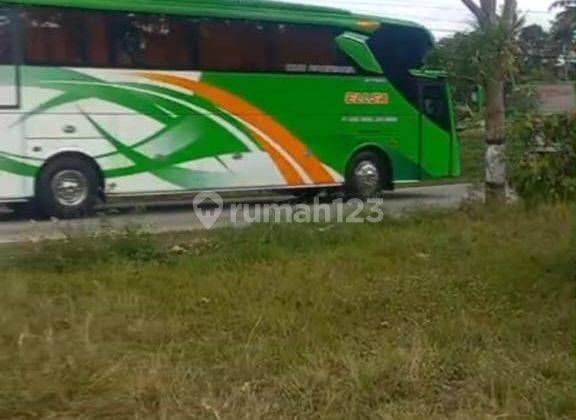 Jual Tanah Tegalan 1,5 Hektar View Pegunungan Sawangan Magelang  1