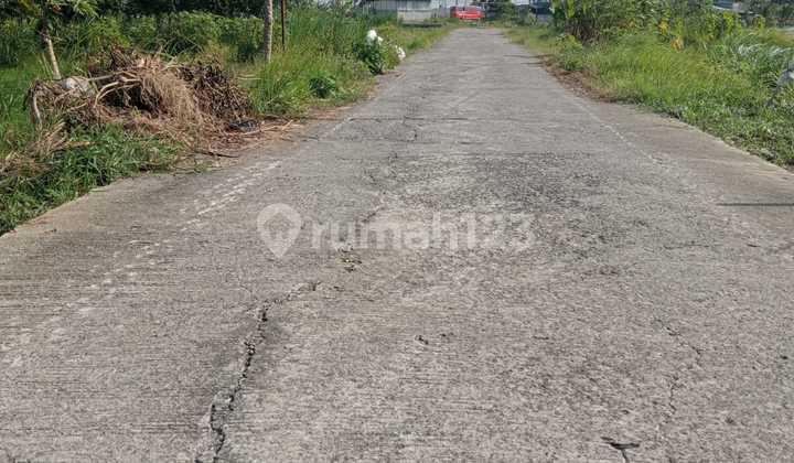 Jual Tanah Sawah  1