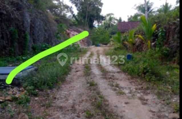 Yard Land 2165m2 Sendangsari Pengasih Kulon Progo Yard Land 2165m2 Sendangsari Pengasih Kulon Progo