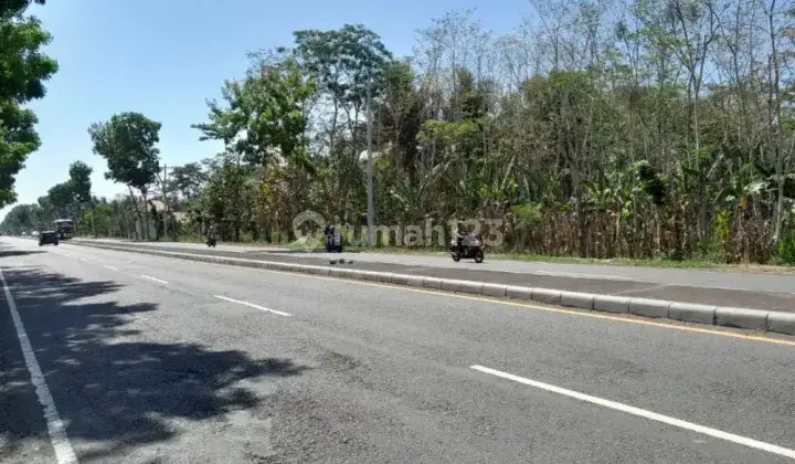 Jual Tanah 1,5 Hektar Strategis Mangku Jln Terusan Dandeles Prwoj 1