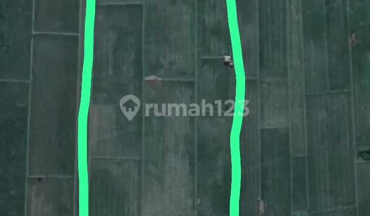 Strategic Rice Field Temonjln Mangku National Road. Strategic Rice Field Temonjln Mangku National Road.