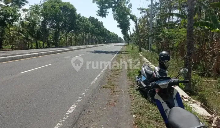 Jual Tanah 1,5 Hektar Strategis Mangku Jln Terusan Dandeles Prwoj 2