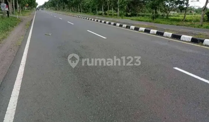 Jual Tanah Tegalan 1,7 Hektar Jalur Lintas Selatan Dandeles  2