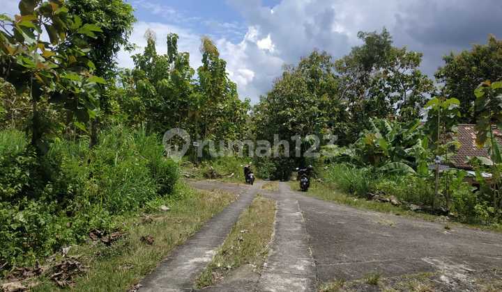 Jual Tanah Pekarangan Murah Datar Lendah Kulon Progo 1