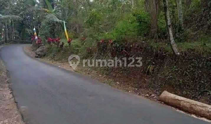 Jual Murah Tanah Pekarangan 11,3 Hektar Kaligesing Purworejo  1