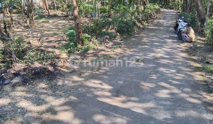 Tanah Pekarangan 350m2 Lendah Kulon Progo 1