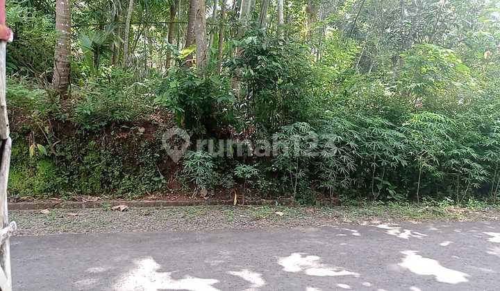 Jual Tanah Pekarangan Murah 450 Rb/m Bagelen Purworejo Dekat Bandara Yia 2