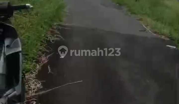 For Sale 2.5 Hectares of Land in Turi Sleman For Sale 2.5 Hectares of Land in Turi Sleman