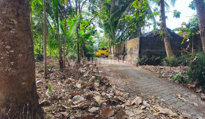 Tanah Tegal 491m2murahkembang Dkt Geblek Pari Nanggulan K Progo 