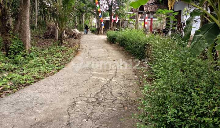 Tanah Pekarangan1185m2temon Dekat Bandara Yia K Progo Tanah Pekarangan1185m2temon Dekat Bandara Yia K Progo