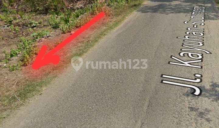 Jual Tanah Pekarangan 1,4 Hektar Lokasi Bagus Gesikan Sedayu Bantul Jual Tanah Pekarangan 1,4 Hektar Lokasi Bagus Gesikan Sedayu Bantul