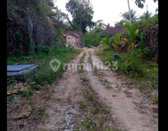 Yard Land 2165m2 Sendangsari Pengasih Kulon Progo Yard Land 2165m2 Sendangsari Pengasih Kulon Progo