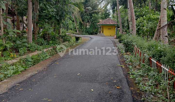 Tanah Pekarangan386m2 Lokasi Strategis Temon Dekatbandara Y I A Tanah Pekarangan386m2 Lokasi Strategis Temon Dekatbandara Y I A