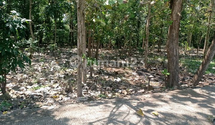 Jual Tanah Pekarangan 2000m2 Asri View Sawah & Sungai Wijimulyo