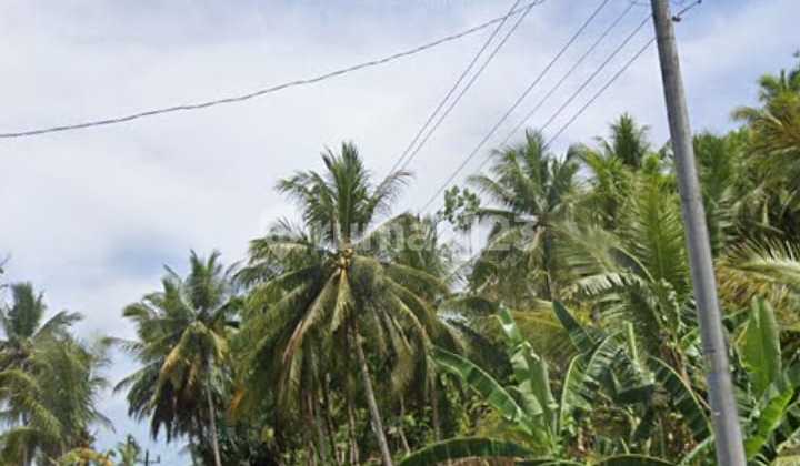 Jual Tanah Pekarangan 200m2dkt Kampus Uny Wates Kulon Progo