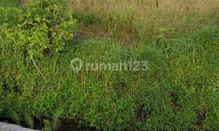 Strategic Dryland 2 Hectares, Mangku, Magelang Road Km 23, Ngluwar, Magelang, Central Java. Strategic Dryland 2 Hectares, Mangku, Magelang Road Km 23, Ngluwar, Magelang, Central Java.