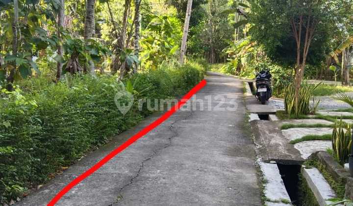 For Sale: 550m2 Vacant Land Near YIA Airport, Kulon Progo For Sale: 550m2 Vacant Land Near YIA Airport, Kulon Progo