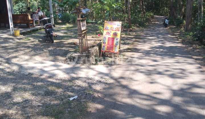 Tanah Pekarangan 350m2 Lendah Kulon Progo 2