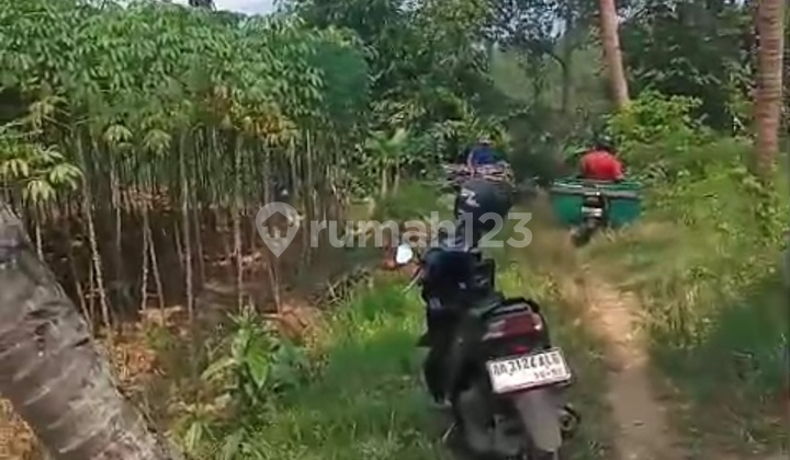 Tanah Tegalan 3 Hektar Mertoyudan Murah Dekat Kekota 