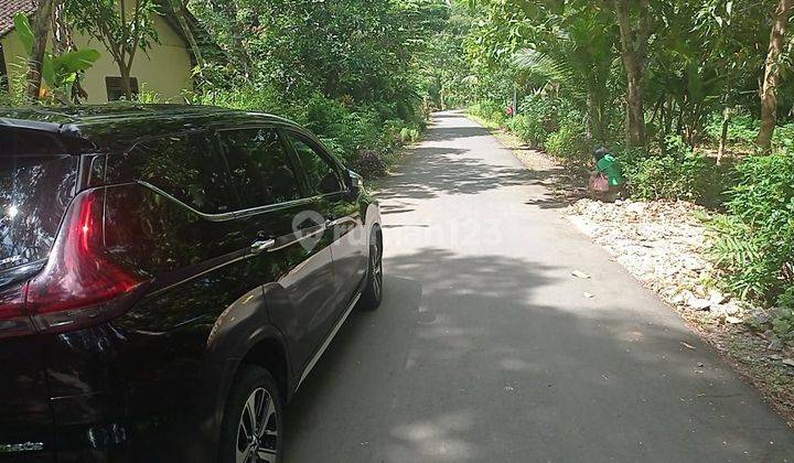 Jual Tanah Pekarangan Murah 450 Rb/m Bagelen Purworejo Dekat Bandara Yia 1
