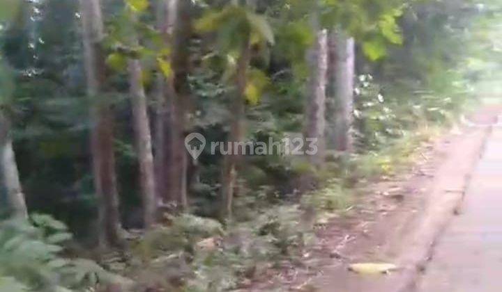 Jual Tanah Pekarangan Murah 8hektar Gebang Purworejo Jateng 2