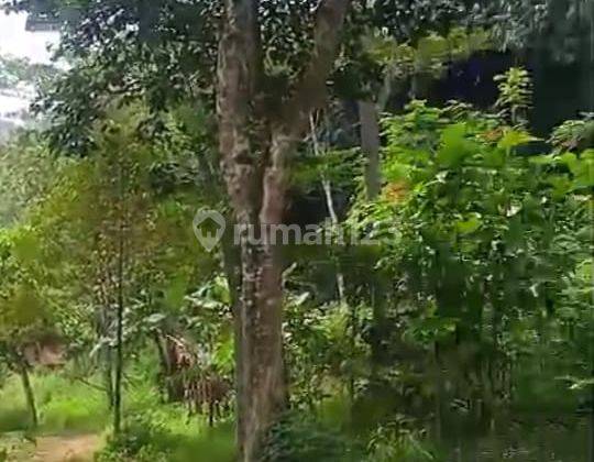 Dijual Cepat Tanah Kebun Berbukit Dekat Pasar Loji Karawang 2