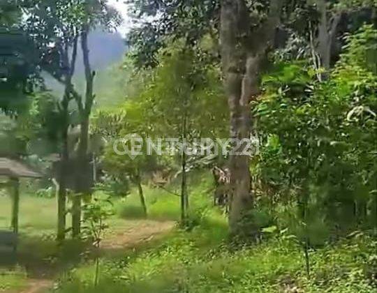 Dijual Tanah Kebun Berbukit Dekat Pasar Loji Tegal Waru Karawang 2