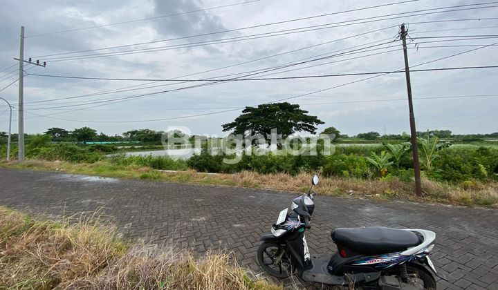 Gresik Land Gresik Land