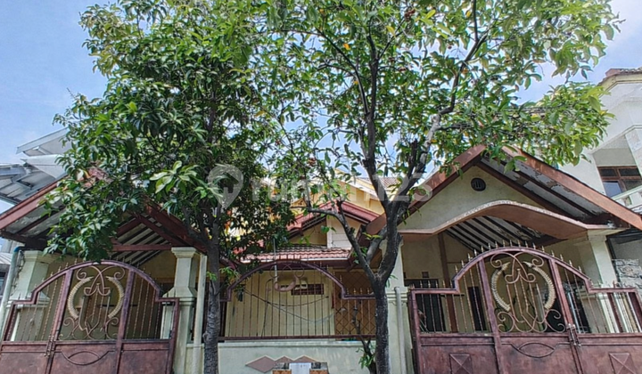 Deltasari House Deltasari House