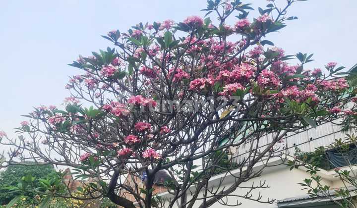 “Premier Estate Bambu Apus Cipayung : Rumah Mewah Paling Dicari Jakarta Timur”