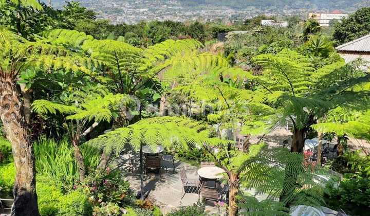 Residence + Cafe with Mountain View located in Bumiaji, Batu. 2