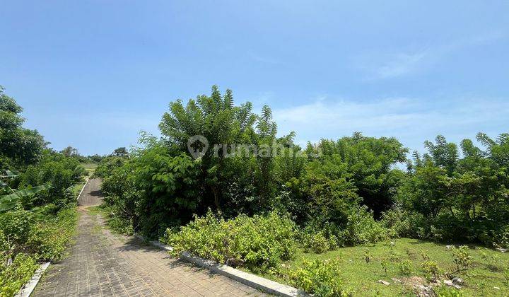 Tanah Land For Sale Freehold SHM 12 Are Ungasan Area 1