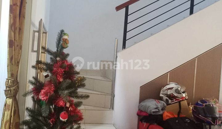 Cluster Chrysocolla, Phg