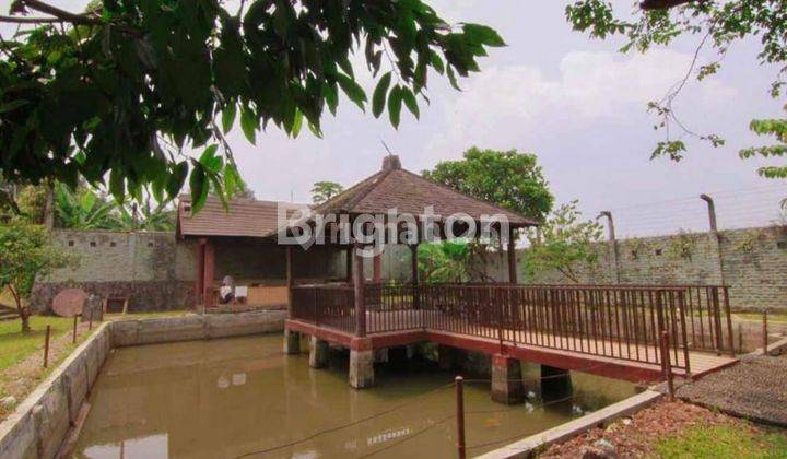 VILLA ASRI DAN NYAMAN LT. 5360 m² DI PALASARI CIHIDEUNG BOGOR 2