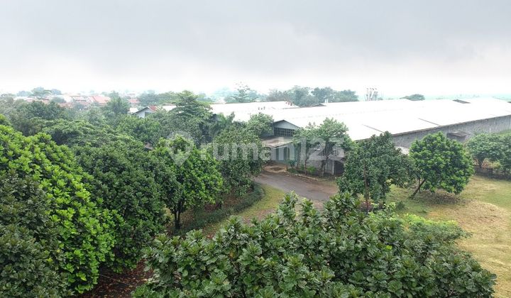 Jual cepat ex Pabrik Gudang di jl. Rqya sapan majalaya Jual cepat ex Pabrik Gudang di jl. Rqya sapan majalaya