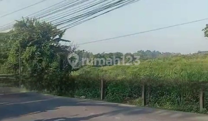 Cheap Sale of 92Ha Land Ready to Build in Solear Subdistrict, Tangerang, Banten