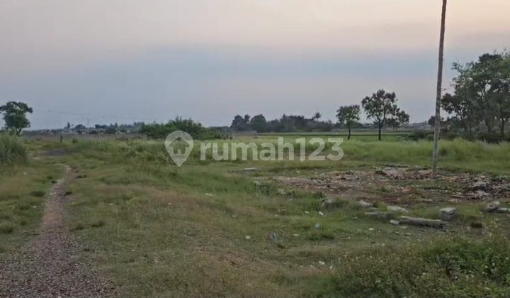 For Sale 11 Ha Freehold Land Ready to Build in Rajeg Tangerang Banten