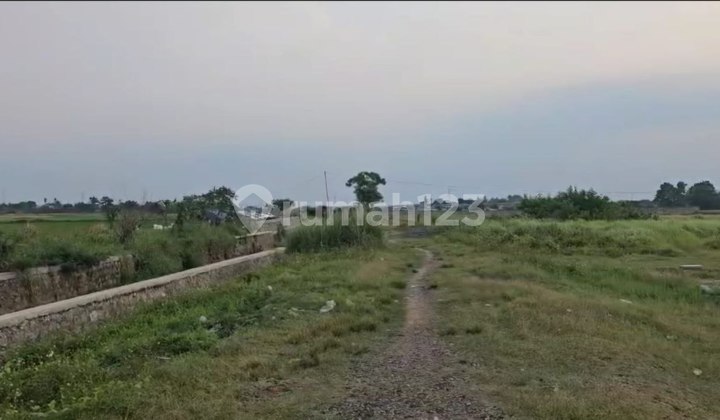 For Sale 11 Ha Freehold Land Ready to Build in Rajeg Tangerang Banten