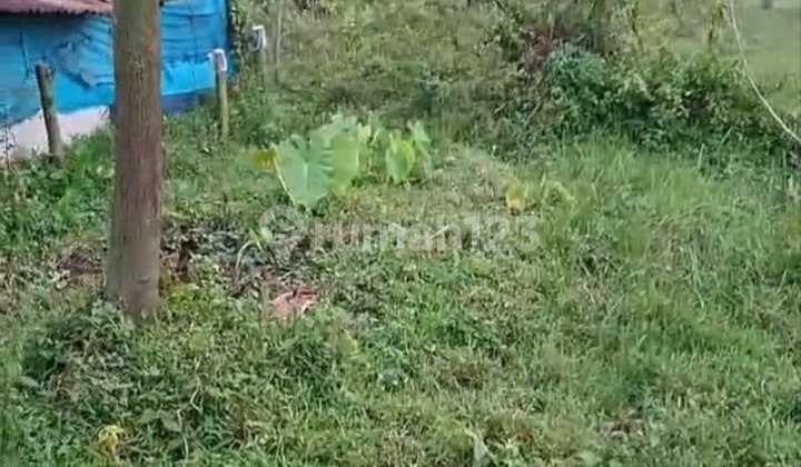 Dijual Cepat Lahan 5, 8 Ha Tigaraksa Balaraja Tangerang Banten Dijual Cepat Lahan 5, 8 Ha Tigaraksa Balaraja Tangerang Banten