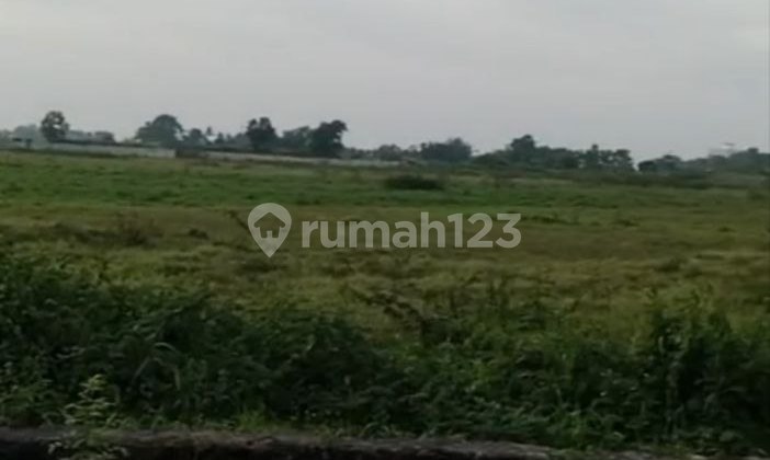 For Sale 2.5 Ha Land in Buditexindo Area, Jawilan Serang For Sale 2.5 Ha Land in Buditexindo Area, Jawilan Serang