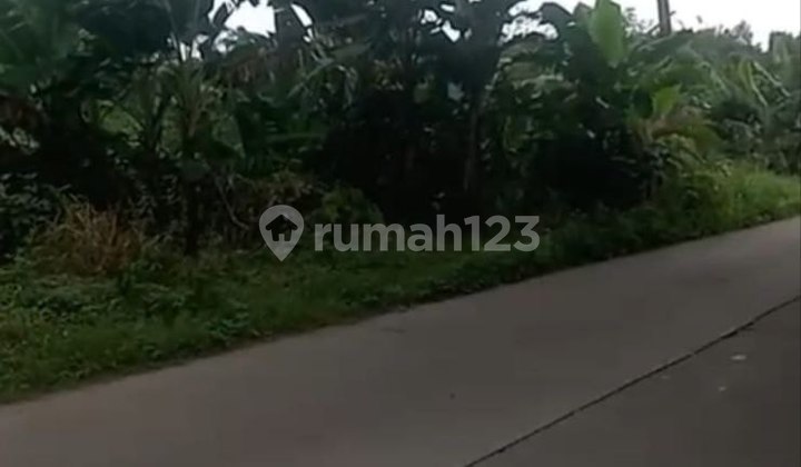 Dijual Cepat Lahan 20 Ha SHM di Tenjo Bogor