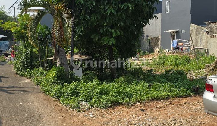 Kavling Siap Bangun SHM Cendrawasih Cengkareng Jakarta Barat Kavling Siap Bangun SHM Cendrawasih Cengkareng Jakarta Barat