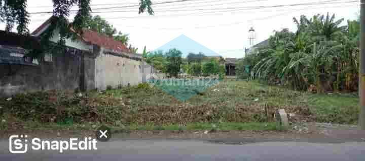 Tanah Raya Menganti Jeruk Surabaya, Bisa Untuk Gudang 1