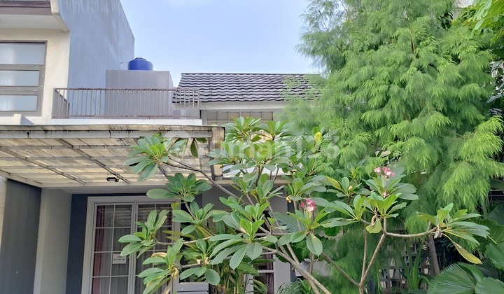 Rumah Renovasi Adora Permata Bintaro Jaya Sektor 9