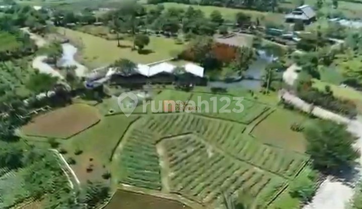 Near Ciampea Market, Dramaga & IPB Campus, For Sale Land Plot SHM 6.15 Hectares in Ciampea Bogor Near Ciampea Market, Dramaga & IPB Campus, For Sale Land Plot SHM 6.15 Hectares in Ciampea Bogor