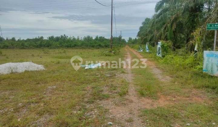 Dijual Tanah 6 Hektar di Teluk Makmur Dumai bisa untuk Resort, Spbu & Kawasan Komersial Dekat Pantai Kawasan Pelabuhan Pekan Baru Riau. Dijual Tanah 6 Hektar di Teluk Makmur Dumai bisa untuk Resort, Spbu & Kawasan Komersial Dekat Pantai Kawasan Pelabuhan Pekan Baru Riau.