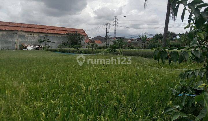 Harga Menarik! Tanah Sawah di Cibiru Wetan, Bandung Timur 1