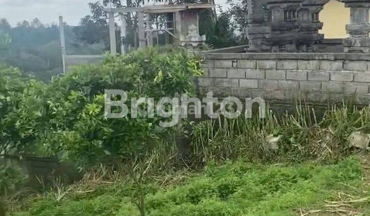 tanah kebun jeruk  29.5are daerah belok sidan petang badung bali 2